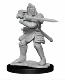 DUNGEONS AND DRAGONS - NOLZURS MARVELOUS UNPAINTED MINIATURES - HOBGOBLIN FIGHTER MALE & HOBGOBLIN WIZARD FEMALE-gaming-The Games Shop