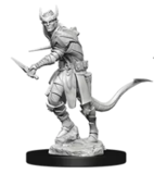 DUNGEONS AND DRAGONS - NOLZURS MARVELOUS UNPAINTED MINIATURES - TIEFLING ROGUE MALE-gaming-The Games Shop