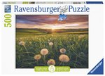 Ravensburger - 500 piece - Dandelions at Sunset-500-750-The Games Shop