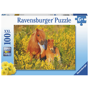 Ravensburger - 100 Piece - Shetland Ponies