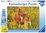 Ravensburger - 100 Piece - Shetland Ponies