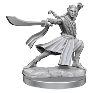 Dungeons & Dragons - Frameworks - Elf Monk Male