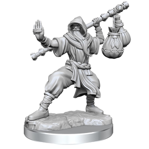 Dungeons & Dragons - Frameworks - Human Monk Male