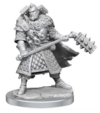 Dungeons & Dragons - Frameworks - Human Male Fighter-gaming-The Games Shop