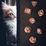 Q Workshop Cats Dice Set - Muffin
