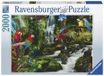 Ravensburger - 2000 Piece - Parrots Paradise-jigsaws-The Games Shop