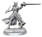 Dungeons & Dragons - Frameworks Miniature - Tiefling Rogue Female-gaming-The Games Shop