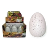 Growing Dinosaur egg-quirky-The Games Shop