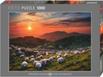 Heye - 1000 Piece - Von Humbold Sheep & Volcanoes-jigsaws-The Games Shop