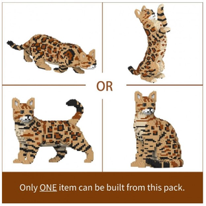 Jekca - Bengal Cat 4 in 1 pack