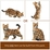 Jekca - Bengal Cat 4 in 1 pack