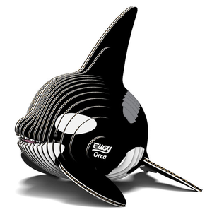 Eugy - Orca